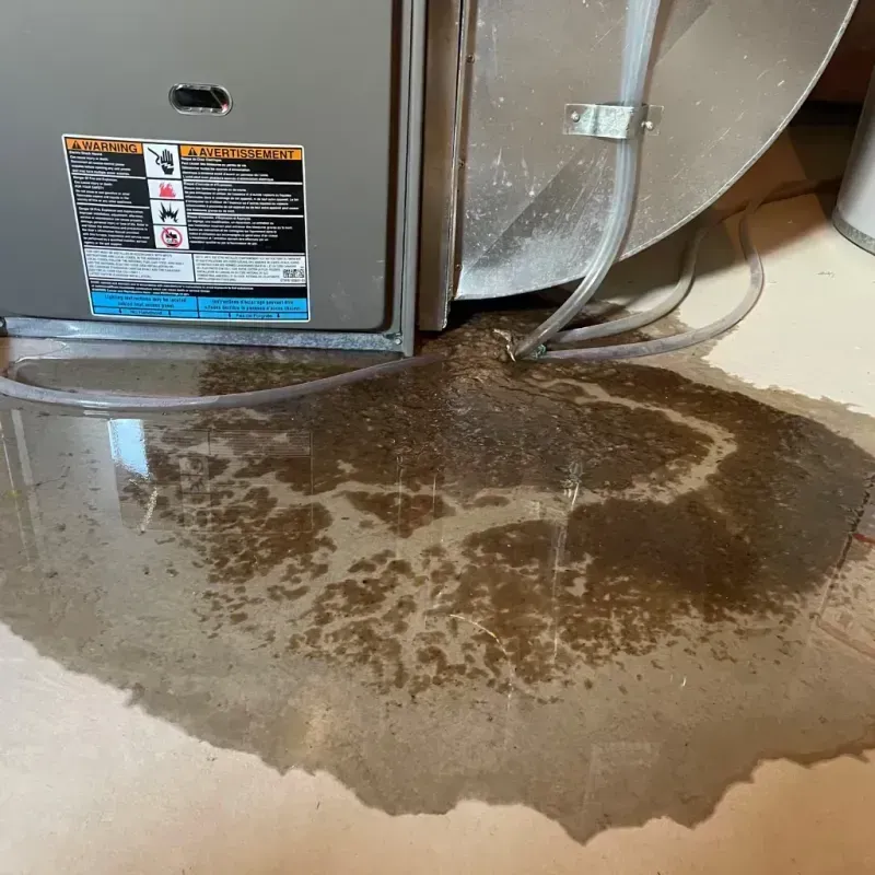 Appliance Leak Cleanup in Mulberry, AR